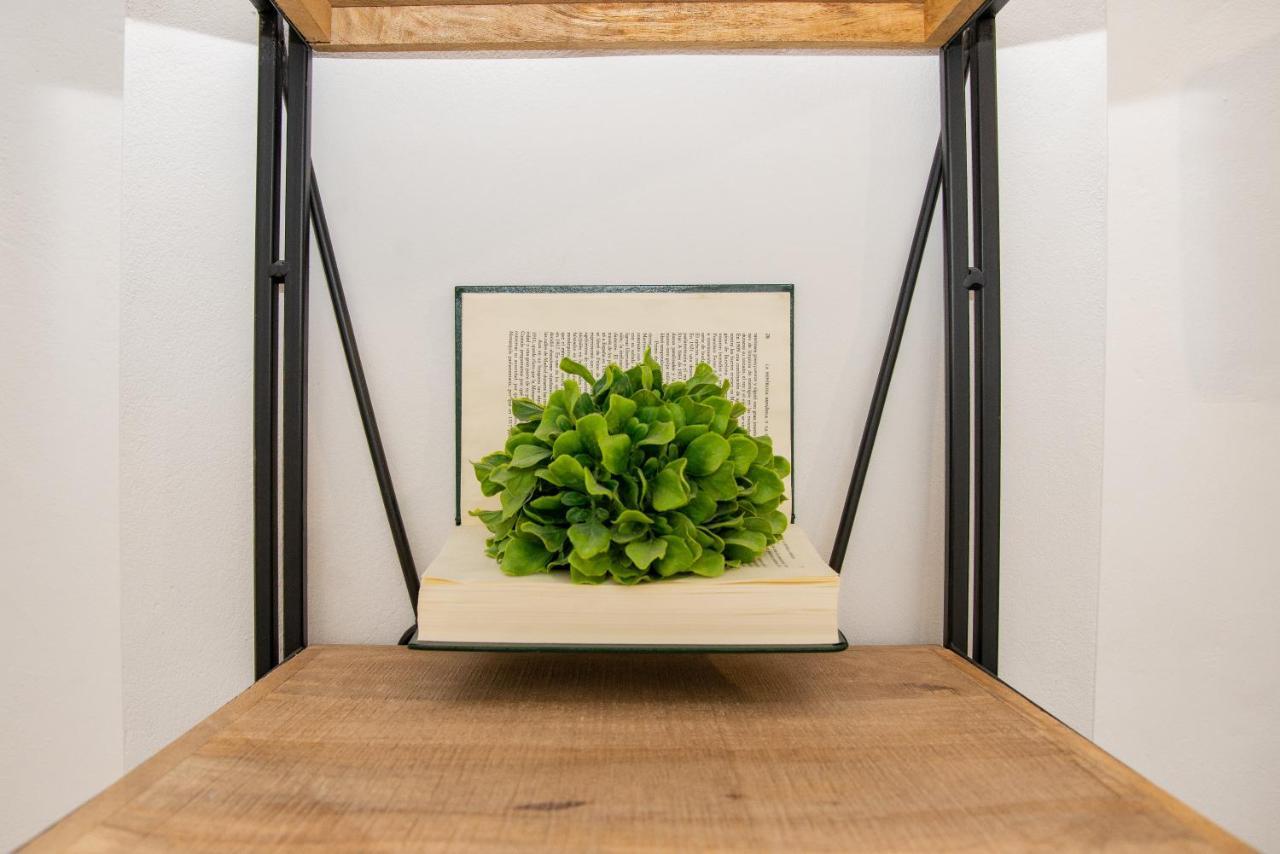 Mana Loft Apartamento Original En El Centro De 알리칸테 외부 사진